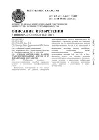 Загрузка...
